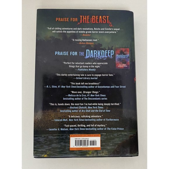 The Beast (The Darkdeep) Hardcover By Ally Connie  SIGNED by Author - Picture 5 of 9